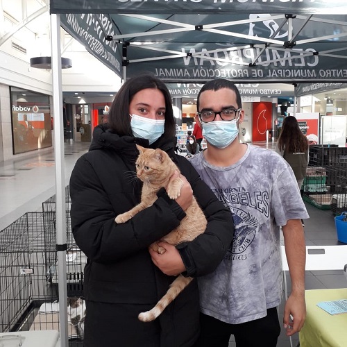 ¡Abubilla adoptada!