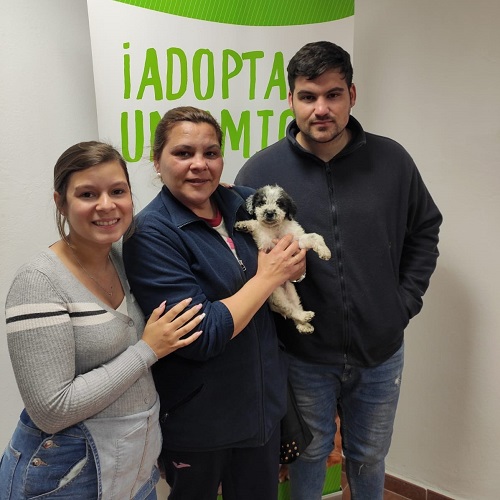¡Aceitunilla adoptada!