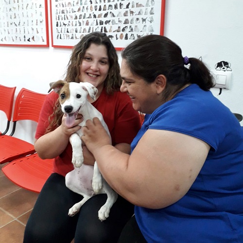 ¡Ada adoptada!