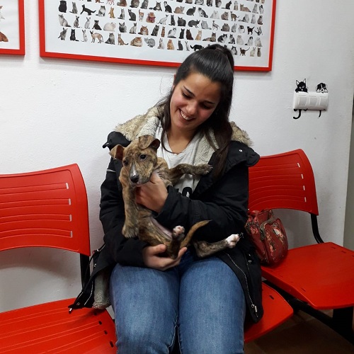 ¡Adularia adoptada!
