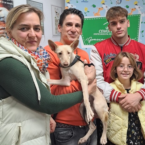 ¡Aixa adoptada!