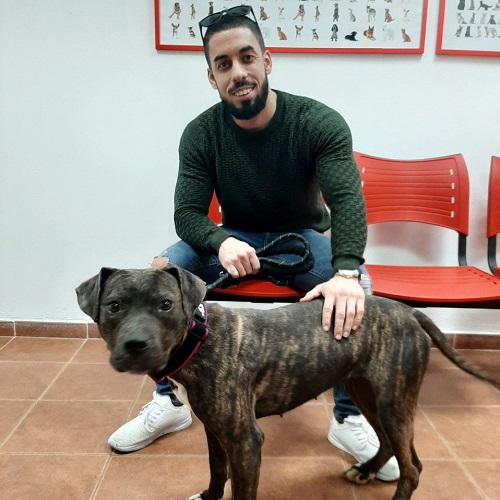 ¡Algadir adoptada!