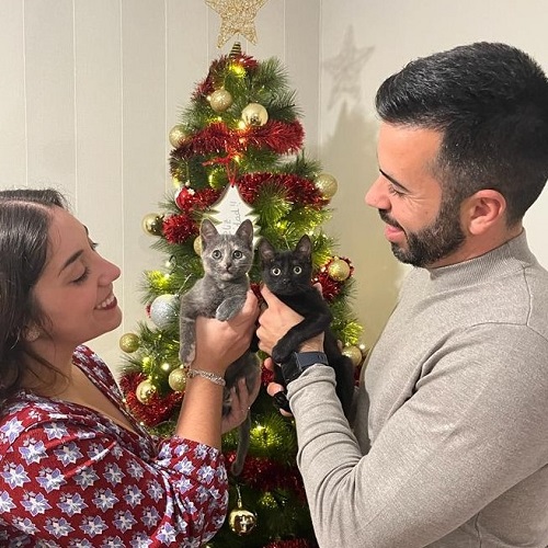 ¡Alimak y Negrete adoptados!