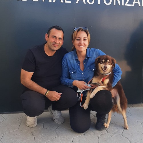 ¡Allein adoptado!
