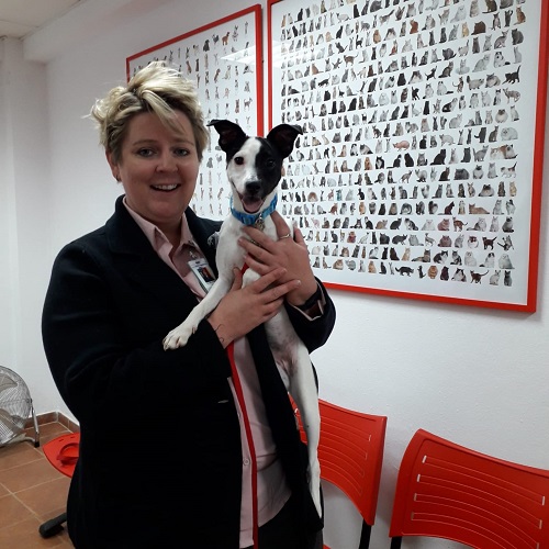 ¡Alpina adoptada!