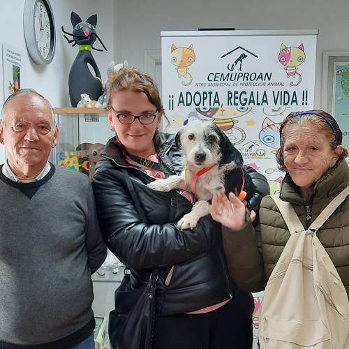 ¡Altamura adoptada!