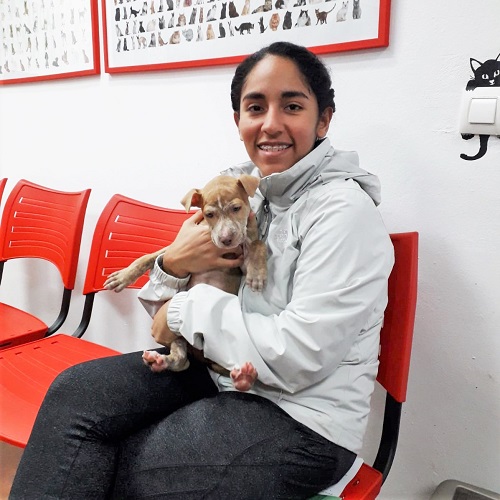 ¡Ámbar adoptada!