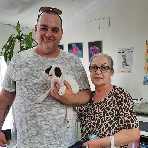 ¡Anacardo adoptado!