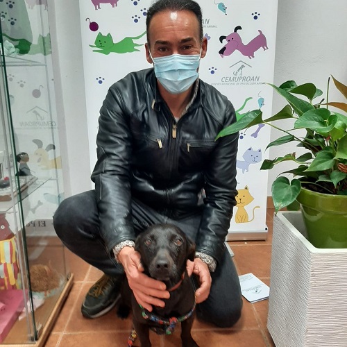 ¡Antillo adoptado!