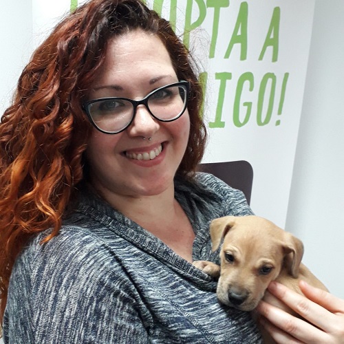 ¡Apatito adoptado!