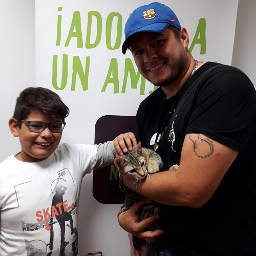 ¡Arabia adoptada!