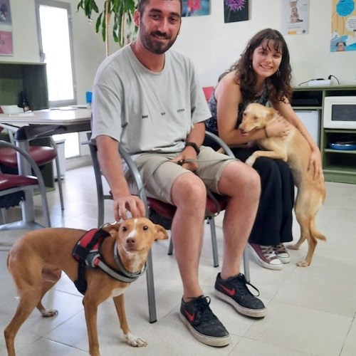¡Aridane y Cebollino adoptados!