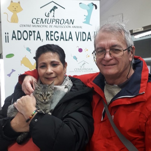 ¡Armana adoptada!