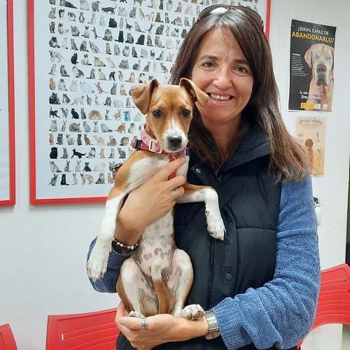 ¡Aruba adoptada!