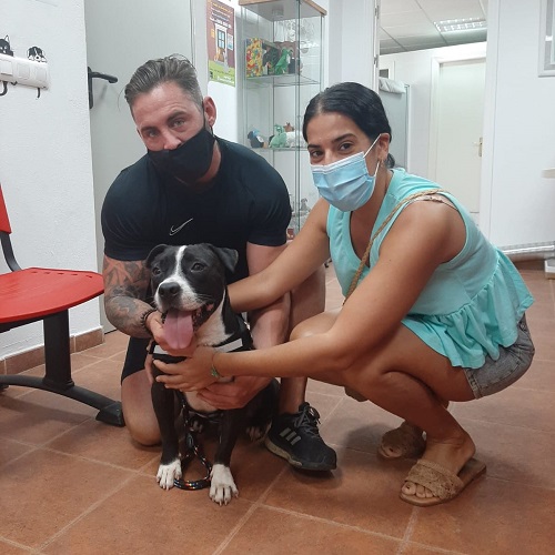 ¡Athos adoptado!