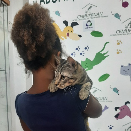 ¡Bahíamar6 adoptado!