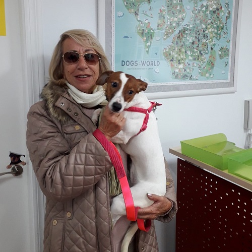 ¡Bala adoptada!