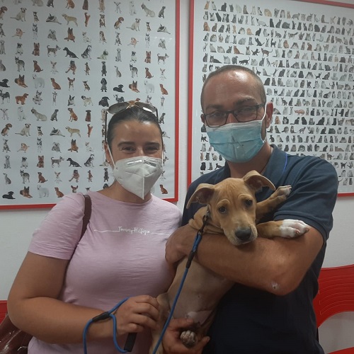 ¡Bambú adoptado!