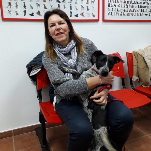 ¡Bear adoptada!
