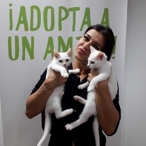 ¡Bebés2 y Bebés3 adoptados!