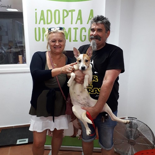 ¡Bella adoptada!