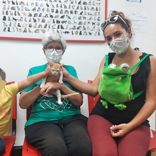 ¡Bellota adoptado!