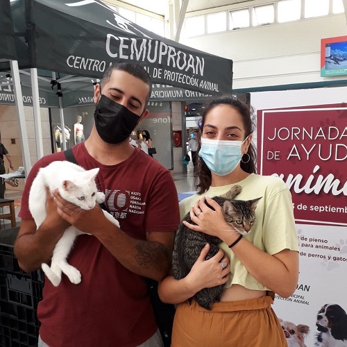 ¡Berenson y Montana adoptados!