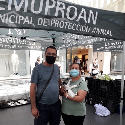 ¡Berlino adoptado!