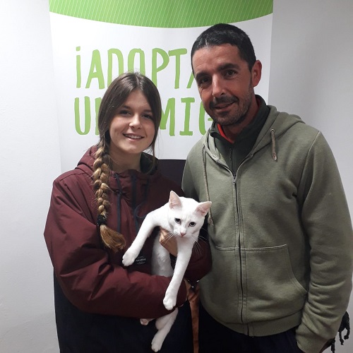¡Bermudas2 adoptada!