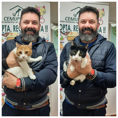 ¡Bijou y Yucatán adoptados!