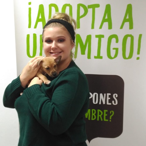 ¡Bismuto adoptado!