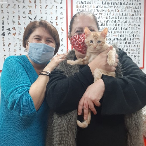 ¡Bizcocho adoptado!