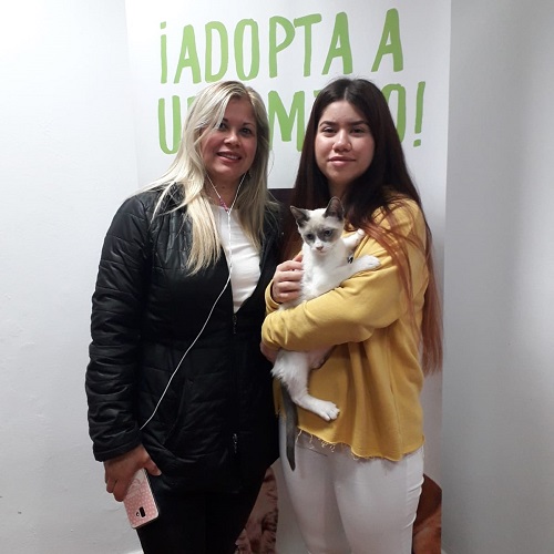 ¡Blenda adoptada!