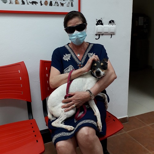 ¡Bogart adoptado!