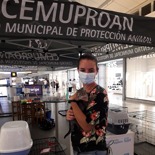 ¡Bogue adoptado!
