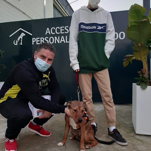 ¡Bollicao adoptado!