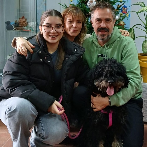 ¡Botón adoptado!