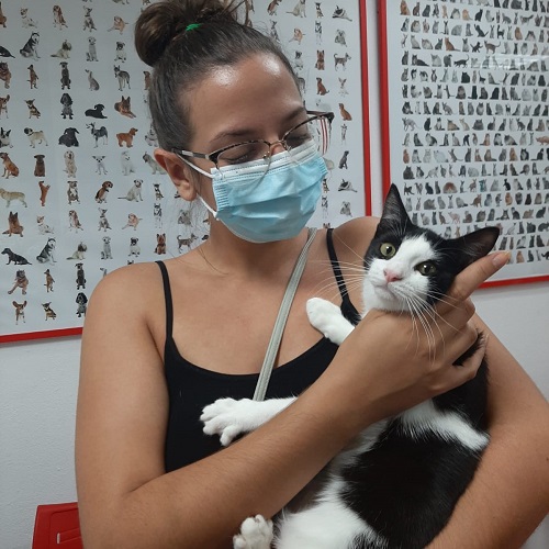 ¡Brida adoptada!
