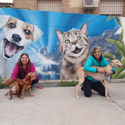 ¡Brock, Oasis y Wailo adoptados!