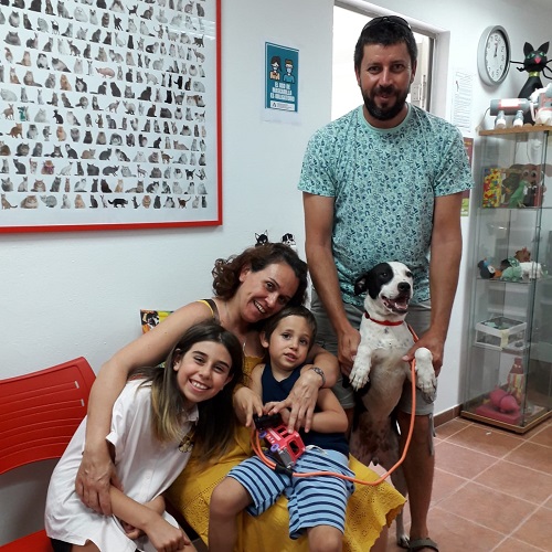 ¡Bruce adoptado!
