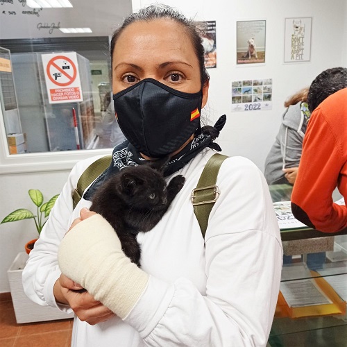 ¡Busardo adoptado!