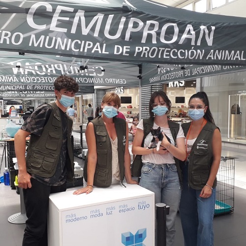 ¡Camaleón3 adoptado!