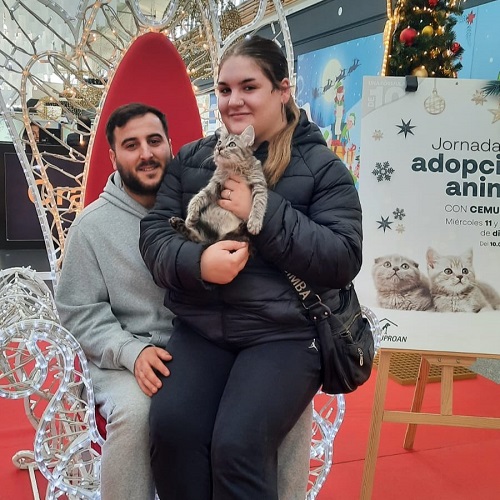 ¡Cañada29 adoptado!