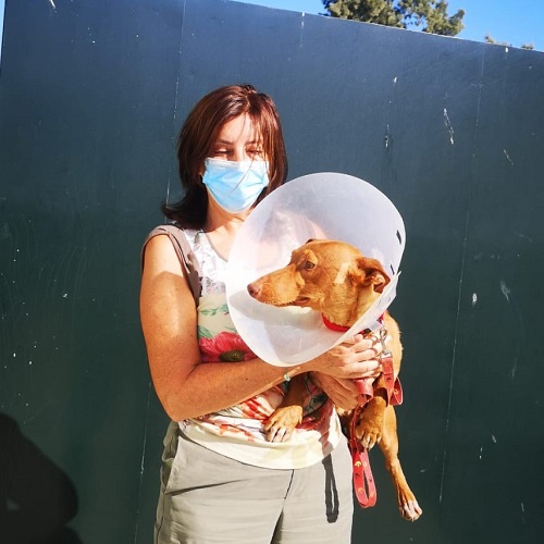 ¡Canuto adoptado!