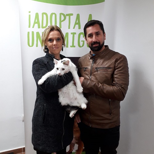 ¡Capa adoptada!