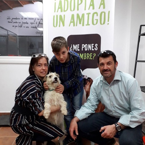 ¡Caravelo Adoptado!