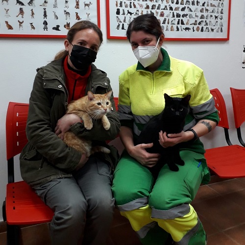 ¡Carter y Kansas adoptados!