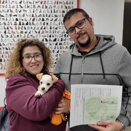 ¡Centavo adoptado!