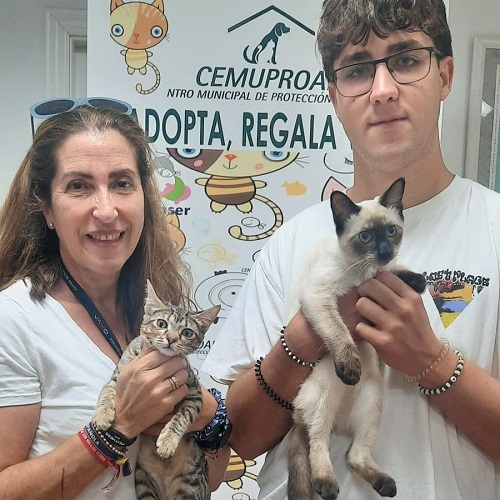¡Cepa y Limo adoptados!