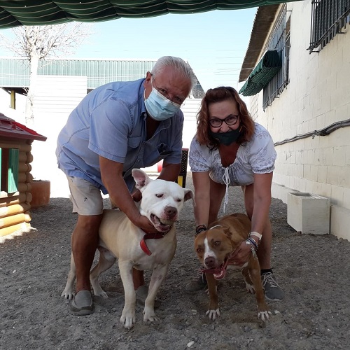 ¡Cheddar y Damiya adoptados!